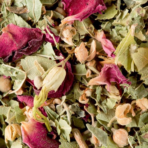 Bali Tisane parfumée Dammann