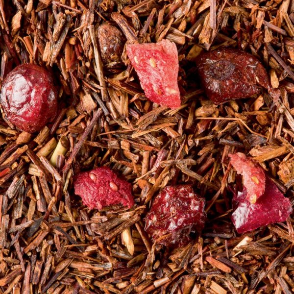 Rooibos Paul et Virginie Dammann