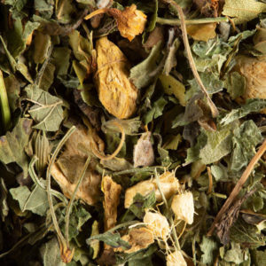 Magic ginger Tisane parfumée Dammann