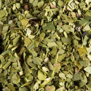 Maté Vert BIO