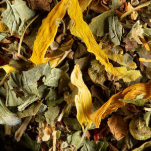 Tisane Fruits exotiques Dammann