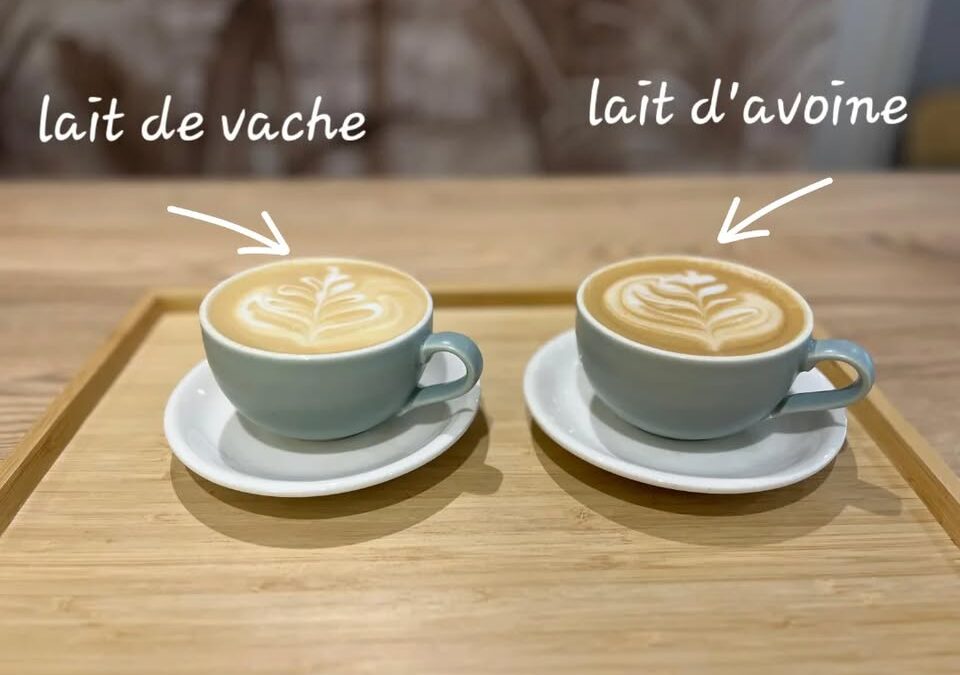 🌾✨ Découvrez le plaisir d’un latte: à l’avoine ou au…