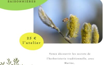 Atelier-Herboristerie-Combattre-les-Allergies-Saisonnieres-Vous-1-1218468293617377-400x250
