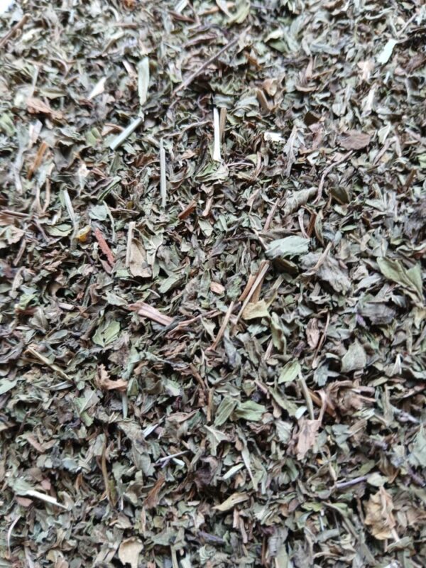 Infusion Menthe poivrée