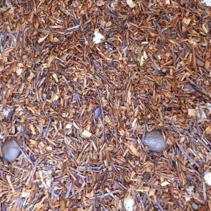 20260421_143906-300x300