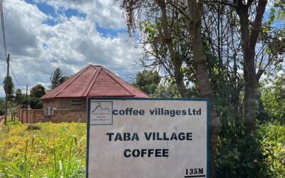 Taba-Un-voyage-au-coeur-du-Rwanda-dans-chaque-1-1553200113477525-400x250