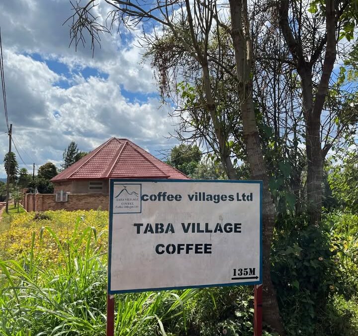 Taba : Un voyage au cœur du Rwanda dans chaque…