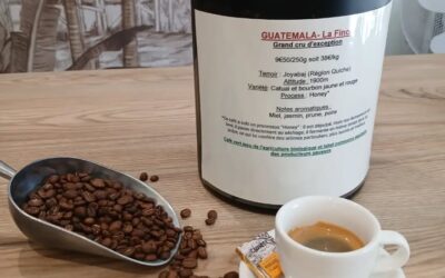 NOUVEAU-Guatemala-La-Finca-honey-Un-grand-cru-1-1633219548808914-400x250 - Brûlerie de Lambour NOUVEAU-Guatemala-La-Finca-honey-Un-grand-cru-1-1633219548808914-400x250